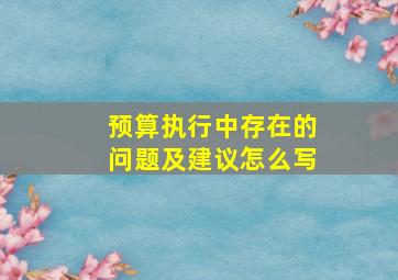 预算执行中存在的问题及建议怎么写