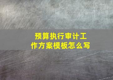 预算执行审计工作方案模板怎么写