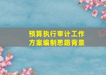 预算执行审计工作方案编制思路背景