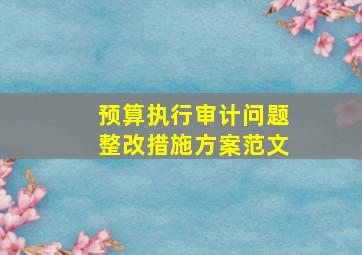 预算执行审计问题整改措施方案范文