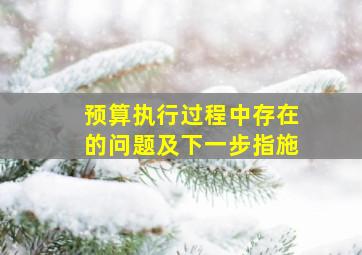 预算执行过程中存在的问题及下一步指施