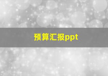 预算汇报ppt