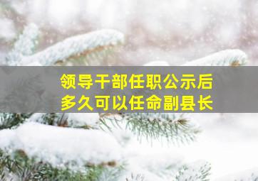 领导干部任职公示后多久可以任命副县长