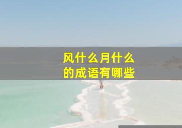 风什么月什么的成语有哪些