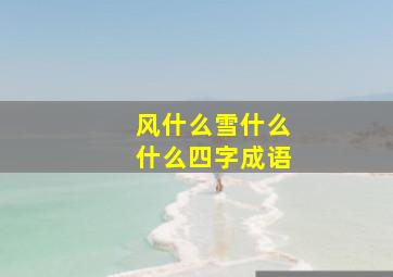 风什么雪什么什么四字成语