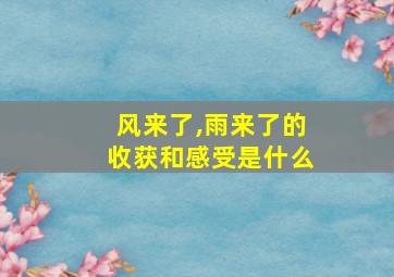 风来了,雨来了的收获和感受是什么