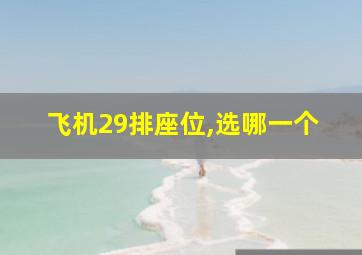 飞机29排座位,选哪一个