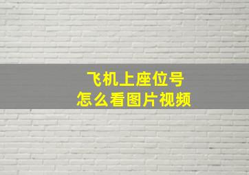 飞机上座位号怎么看图片视频