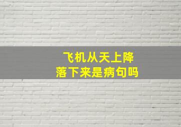 飞机从天上降落下来是病句吗