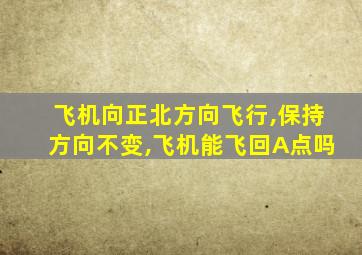 飞机向正北方向飞行,保持方向不变,飞机能飞回A点吗