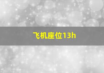 飞机座位13h