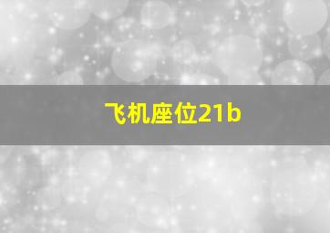 飞机座位21b