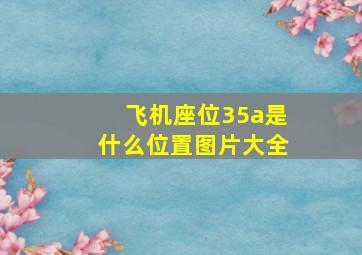 飞机座位35a是什么位置图片大全