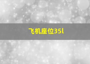 飞机座位35l