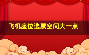 飞机座位选票空间大一点