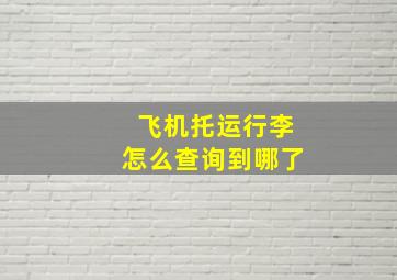 飞机托运行李怎么查询到哪了