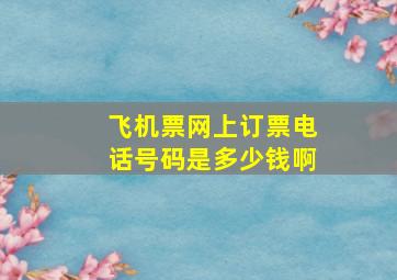 飞机票网上订票电话号码是多少钱啊