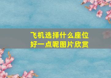 飞机选择什么座位好一点呢图片欣赏