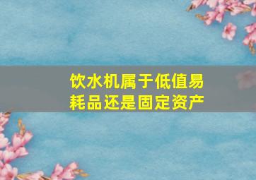 饮水机属于低值易耗品还是固定资产