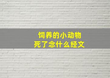 饲养的小动物死了念什么经文