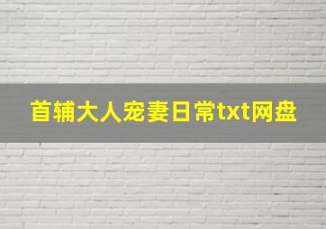 首辅大人宠妻日常txt网盘