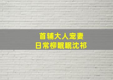 首辅大人宠妻日常柳眠眠沈祁