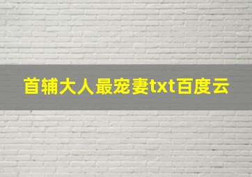 首辅大人最宠妻txt百度云