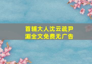 首辅大人沈云疏尹湄全文免费无广告