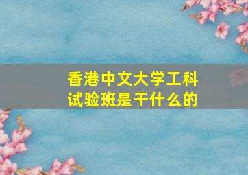 香港中文大学工科试验班是干什么的