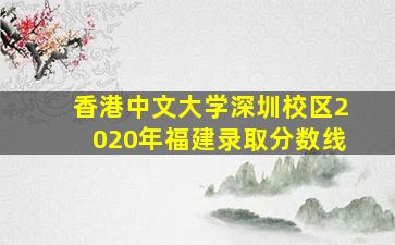 香港中文大学深圳校区2020年福建录取分数线