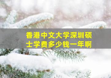 香港中文大学深圳硕士学费多少钱一年啊