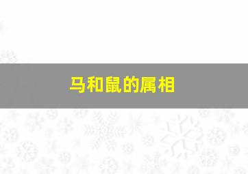 马和鼠的属相