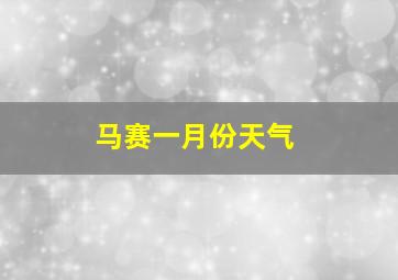 马赛一月份天气