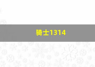 骑士1314