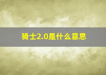 骑士2.0是什么意思