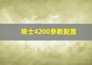 骑士4200参数配置