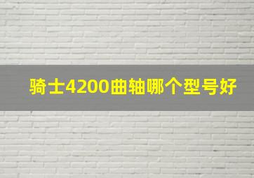 骑士4200曲轴哪个型号好