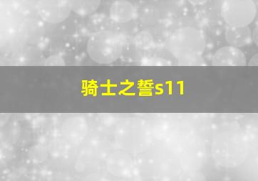 骑士之誓s11