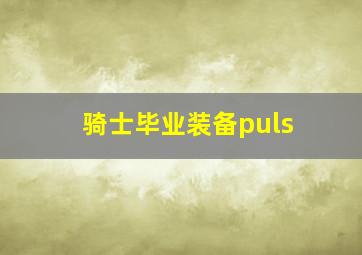 骑士毕业装备puls