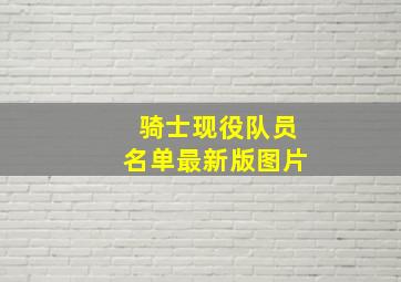 骑士现役队员名单最新版图片