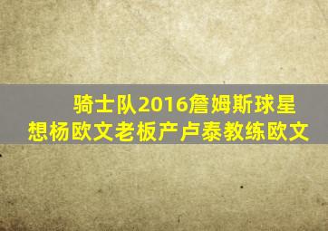 骑士队2016詹姆斯球星想杨欧文老板产卢泰教练欧文