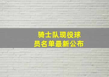 骑士队现役球员名单最新公布