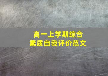 高一上学期综合素质自我评价范文