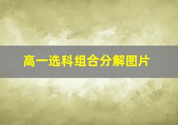 高一选科组合分解图片