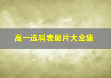 高一选科表图片大全集