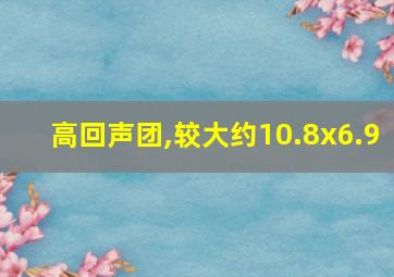 高回声团,较大约10.8x6.9