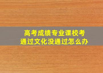 高考成绩专业课校考通过文化没通过怎么办