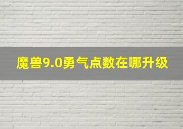 魔兽9.0勇气点数在哪升级