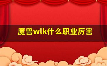 魔兽wlk什么职业厉害