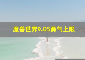 魔兽世界9.05勇气上限